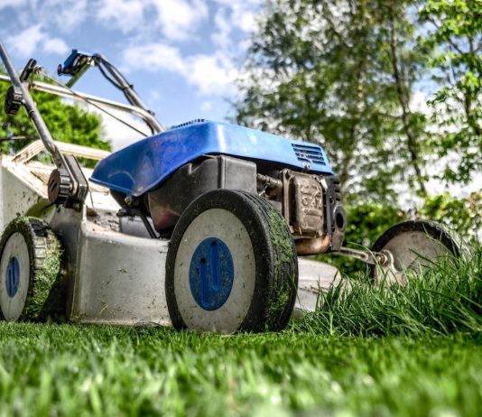 manutenzione del verde a carmagnola
