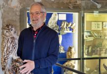 museo storia naturale carmagnola