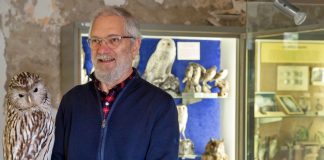 museo storia naturale carmagnola