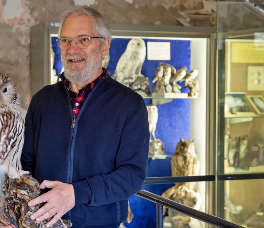 Carmagnola punta a rilanciare il Museo civico di Storia naturale museo storia naturale carmagnola