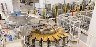 pasta berruto investimenti