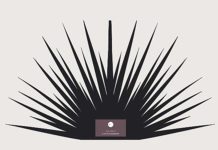 Casalgrasso ospita la presentazione del libro “La solitudine del riccio” casalgrasso libro solitudine riccio