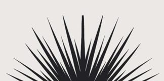 casalgrasso libro solitudine riccio