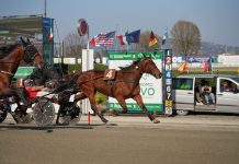 Gli appuntamenti del 6 aprile all’Ippodromo di Vinovo aprile ippodromo vinovo