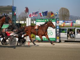 aprile ippodromo vinovo