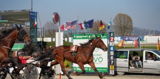aprile ippodromo vinovo