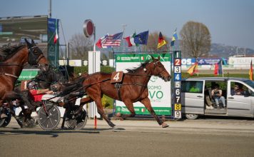 aprile ippodromo vinovo