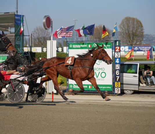 aprile ippodromo vinovo