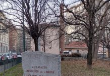 il cuore libertà Vinovo