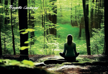 meditazione Silvia Reichenbach