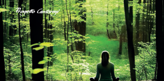 meditazione Silvia Reichenbach