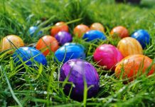 Buona Pasqua 2026 (e serena Pasquetta!) da “Il Carmagnolese” Buona Pasqua 2026