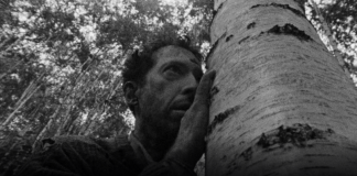 Jolly Villastellone Gaglianone