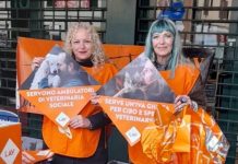 giornata della terra 2026