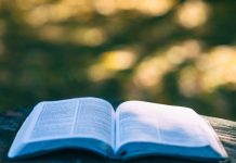 Piobesi libri papaveri