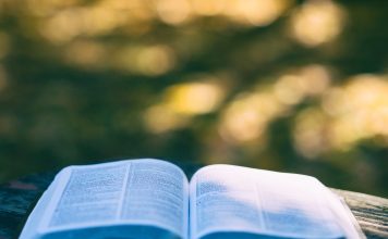 Piobesi libri papaveri