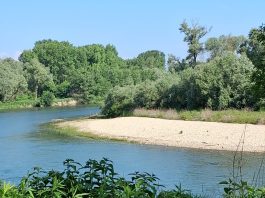 Sabato a Carmagnola una passeggiata nel Bosco del Gerbasso Bosco del Gerbasso passeggiata