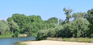 Bosco del Gerbasso passeggiata