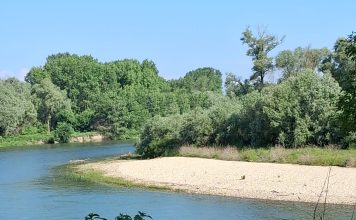 Sabato a Carmagnola una passeggiata nel Bosco del Gerbasso Bosco del Gerbasso passeggiata