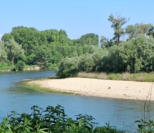 Sabato a Carmagnola una passeggiata nel Bosco del Gerbasso Bosco del Gerbasso passeggiata