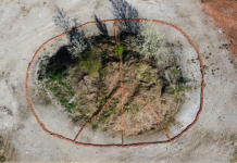 Land Art alla scuola primaria di Pralormo Land Art scuola Pralormo
