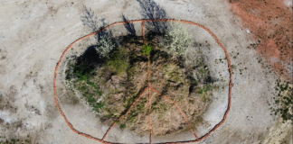 Land Art scuola Pralormo