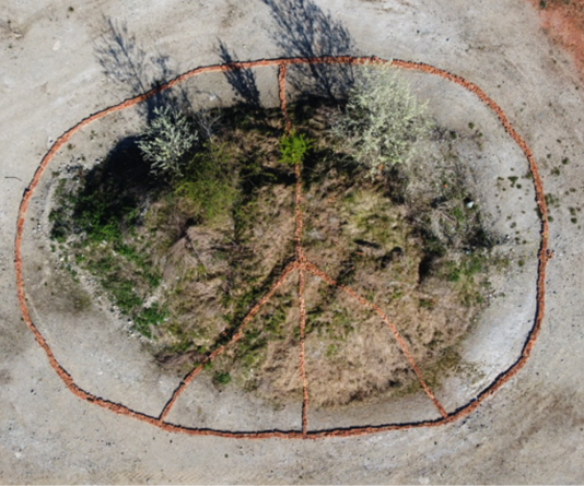Land Art alla scuola primaria di Pralormo Land Art scuola Pralormo