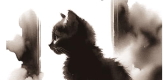 Poirino libro gatto