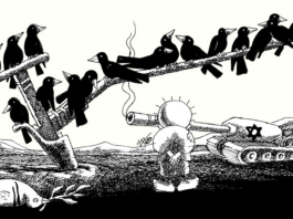 parlami di Gaza Cambiano
