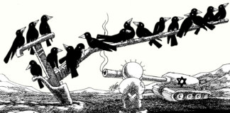 parlami di Gaza Cambiano