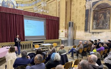 Distretto commercio Pianura