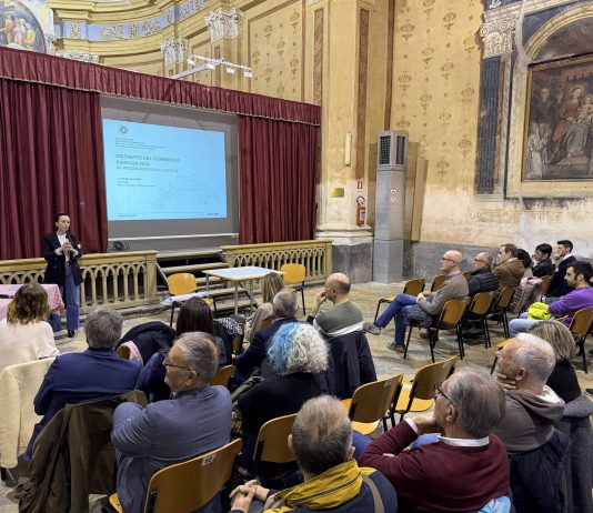 Distretto commercio Pianura