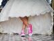 Poirino sfilata abiti sposa