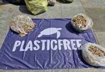 Raccolti 3,5 kg di mozziconi di sigarette grazie a “Puliamo Vinovo” puliamo mozziconi vinovo