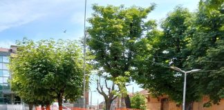 parco stazione Sommariva