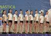 euritmica aics
