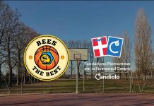 Bees the Best, basket solidale a Sommariva del Bosco basket solidale Sommariva Bosco