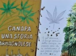 canapa carmagnolese