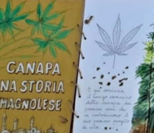 canapa carmagnolese