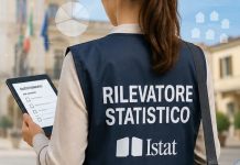 indagine istat sul lavoro