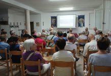 salsasio vivibile questionario traffico