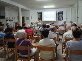 salsasio vivibile questionario traffico