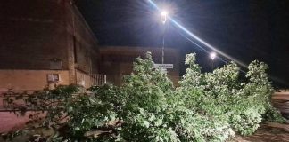 alberi caduti maltempo villastellone