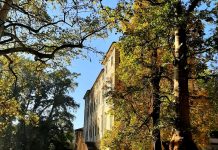 Santena: raccolta fondi per i lavori di messa in sicurezza del Parco Cavour Santena raccolta fondi parco