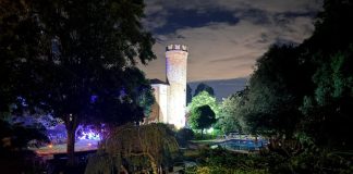successo Faule stelle