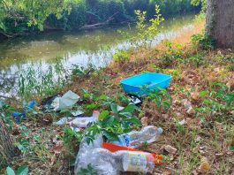 Carmagnola: videosorveglianza contro l’abbandono dei rifiuti carmagnola abbandono rifiuti