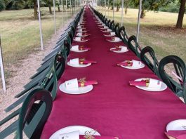 Villastellone: il 18 luglio cena sotto le stelle a Borgo Cornalese Borgo Cornalese stelle