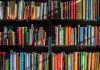 Chiusura estiva della biblioteca di Virle Piemonte biblioteca Virle Piemonte