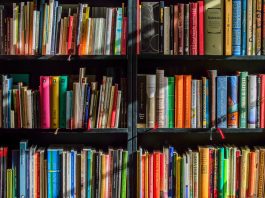 biblioteca Virle Piemonte