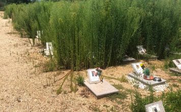 Piobesi: diverse segnalazioni sullo stato del cimitero degli animali Piobesi cimitero animali